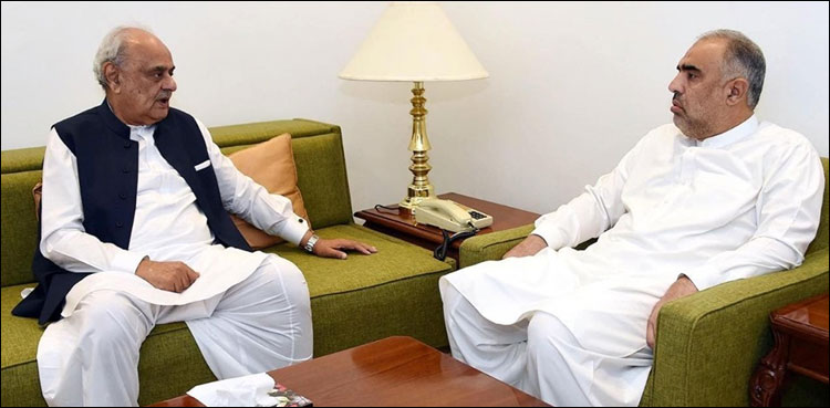 اسپیکر قومی اسمبلی سے وفاقی وزیر داخلہ کی ملاقات، فرشتہ قتل کیس کی پیش رفت سے آگاہ کیا