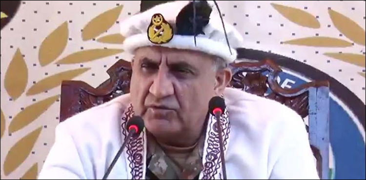 پاک فوج ہرخطرے کو شکست دینے کی بھرپور صلاحیت رکھتی ہے، جنرل قمر باجوہ