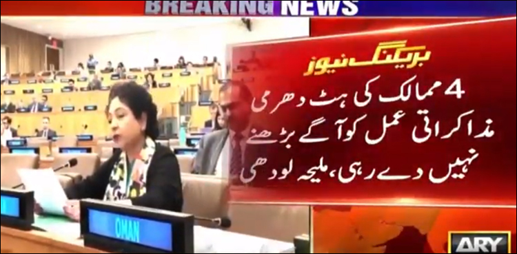 مستقل رکنیت میں اضافہ سلامتی کونسل میں مفاد پرست سیاست میں اضافہ کردے گا، ملیحہ لودھی