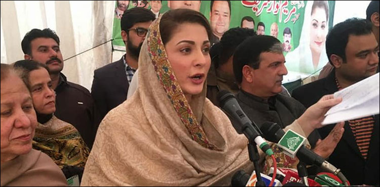 ن لیگ کی پارٹی قیادت کا اجلاس: عید کے بعد بھرپور احتجاجی تحریک چلانے کا فیصلہ
