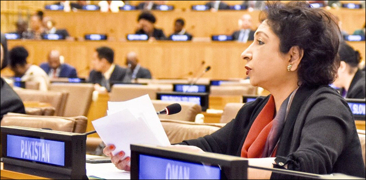 اصولوں پرمبنی اصلاحات ہی شفاف، فعال سلامتی کونسل کی ضمانت ہیں، ملیحہ لودھی