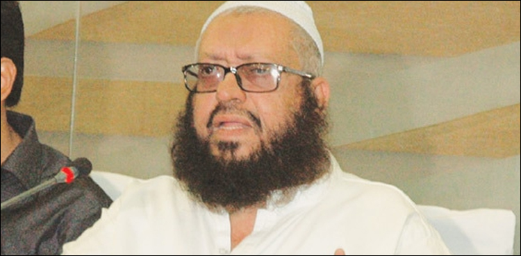 عوام ڈالرز بیچ کر ملک کو معاشی بحران سے نکالنے میں مدد کریں، مفتی نعیم