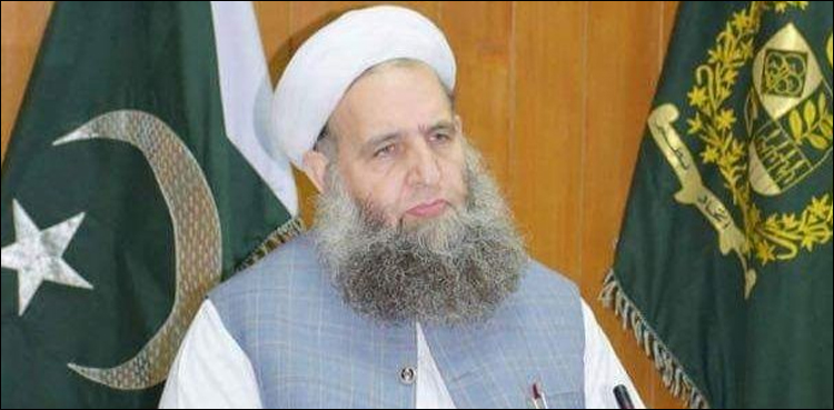 نور الحق قادری کیخلاف  نااہلی  کی درخواست کے قابل سماعت ہونے پر فیصلہ محفوظ