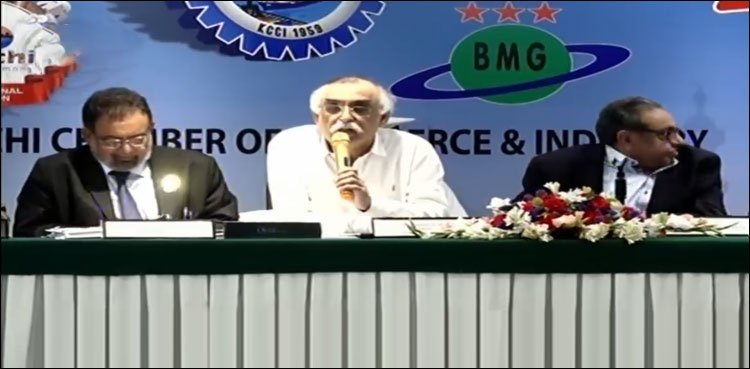 چند خام مال پر تو ٹیکس چھوٹ دی جا سکتی ہے سب پر نہیں: شبر زیدی