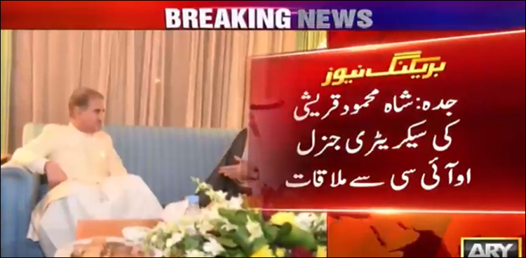 شاہ محمود قریشی کی او آئی سی کے سیکریٹری جنرل  سے ملاقات