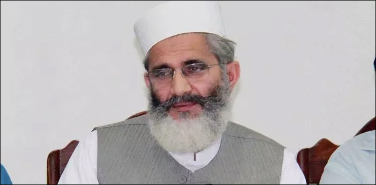 شہبازشریف کا عہدے سے پیچھے ہٹنا اچانک نہیں، یہ خاندانی فیصلہ لگتا ہے، سراج الحق
