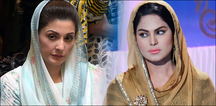 اداکارہ وینا ملک کی مریم نواز پر تنقید