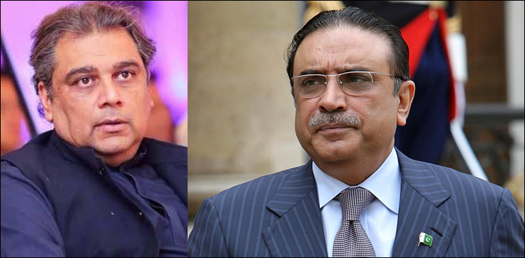 آصف زرداری سے جمہوریت نے زبردست انتقام لیا ہے: علی زیدی
