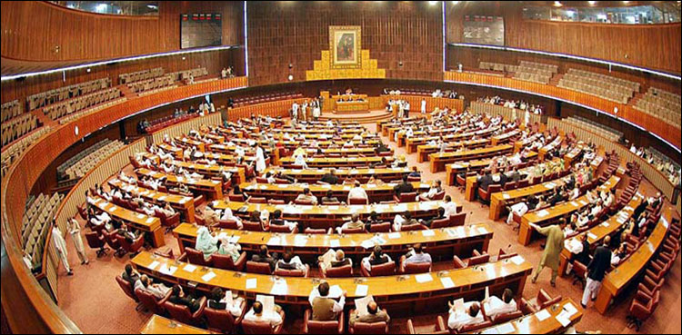 قائمہ کمیٹی برائے انسانی حقوق کا اجلاس، مقبوضہ کشمیر کی صورتحال پر غور