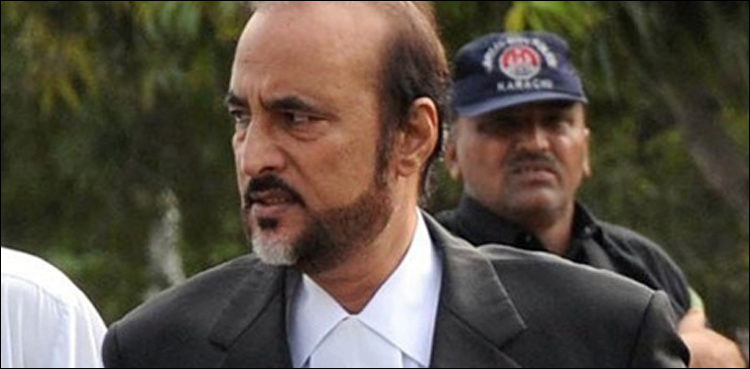 نندی پور پاور پراجیکٹ تاخیر ریفرنس  ، بابر اعوان  کو بری کردیا گیا