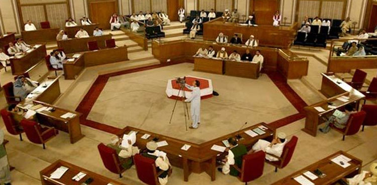 بلوچستان اسمبلی میں اپوزیشن جماعتوں کے ارکان کی نیوز کانفرنس، مشیر تعلیم کی برطرفی کا مطالبہ
