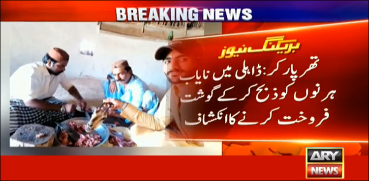 تھر: بھوک پیاس کے مارے ہرنوں کا شکار، گوشت فروخت کیے جانے کا انکشاف