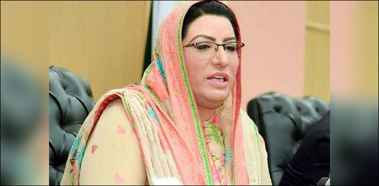شہباز شریف کنفیوز ہیں کہ بھائی سےلائن لیں یادل کی سنیں؟  فردوس عاشق اعوان