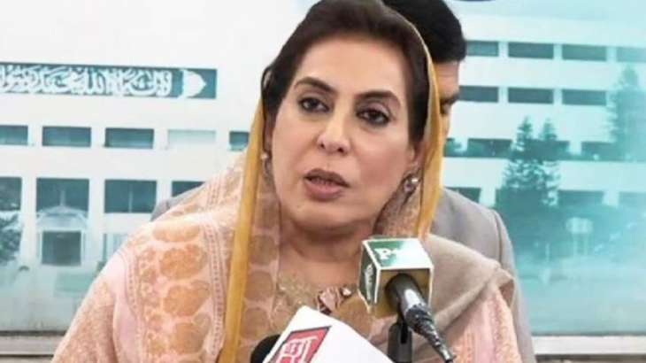 اٹھارہویں ترمیم چند خاندانوں کے فائدے کیلئے نہیں بنی تھی، فہمیدہ مرزا