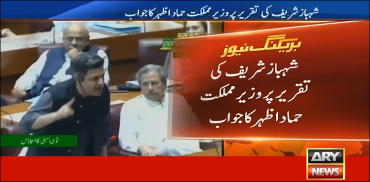 ایوان میں بیٹھے اکنامک ہٹ مین نے ملک کو لوٹا، حماد اظہر کی شہباز شریف پر تنقید