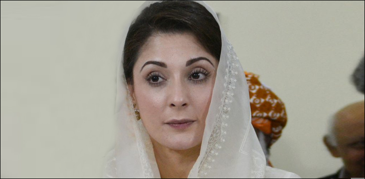 نواز، شہباز شریف، حمزہ اور میں ایک ہیں، کوئی اختلاف نہیں، مریم نواز