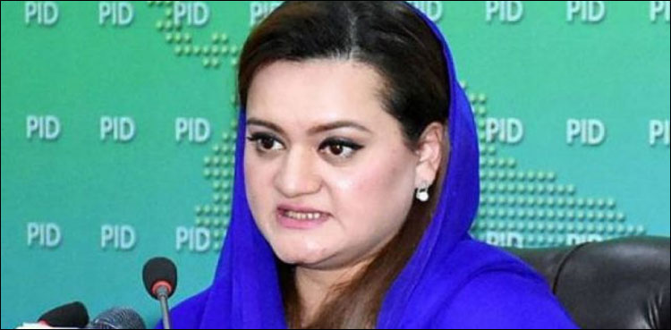 ’مافیاز اور بڑے بڑے ڈاکوؤں سے ملک کو پاک کیا ہے‘