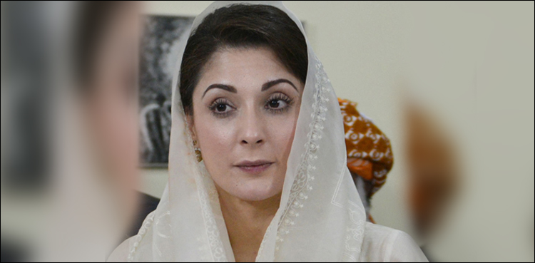 پاکستان کی معیشت تباہی کے دہانے پر کھڑی ہے ، مریم نواز