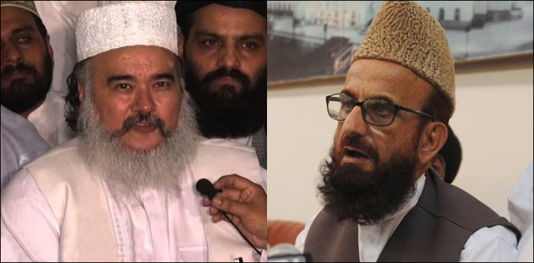پوپلزئی کو کنٹرول نہیں کرسکتے تو حکومت ان کے حوالے کردیں، مفتی منیب الرحمٰن