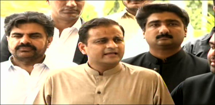 گرفتاریوں کی پیشگوئی ثابت کرتی ہے پیچھے پی ٹی آئی ہے، مرتضیٰ وہاب