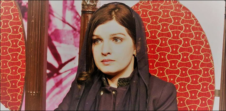 بھارتی حکومت کشمیریوں کی نسل کشی کررہی ہے، مشعال ملک