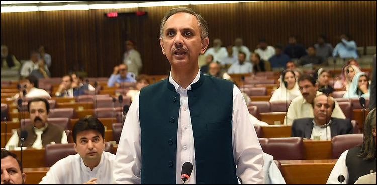 سابق حکومتوں کی غلط پالیسیوں کا خمیازہ ہمیں بھگتنا پڑ رہا ہے: عمر ایوب