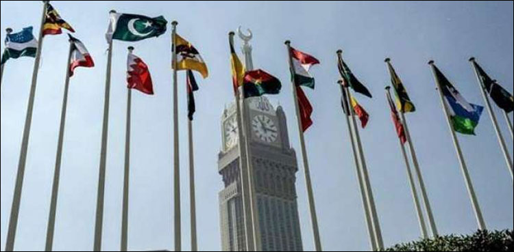 پاکستان کوشنگھائی تعاون تنظیم کی یوتھ کونسل کا رکن بنائے جانے کا فیصلہ