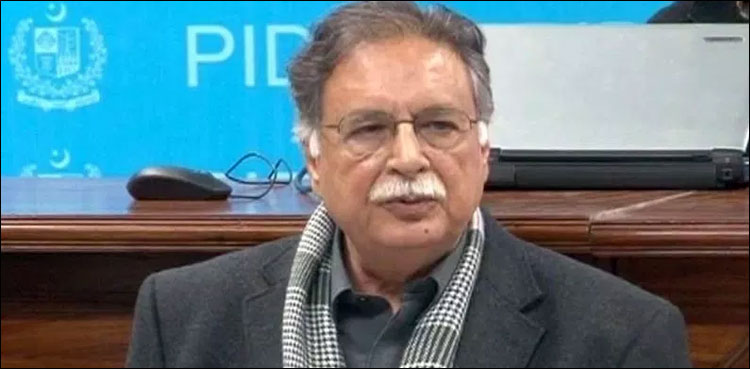 ریلیف دینے والے جیل اور تکلیف دینے والے اقتدار میں ہیں ، پرویز رشید