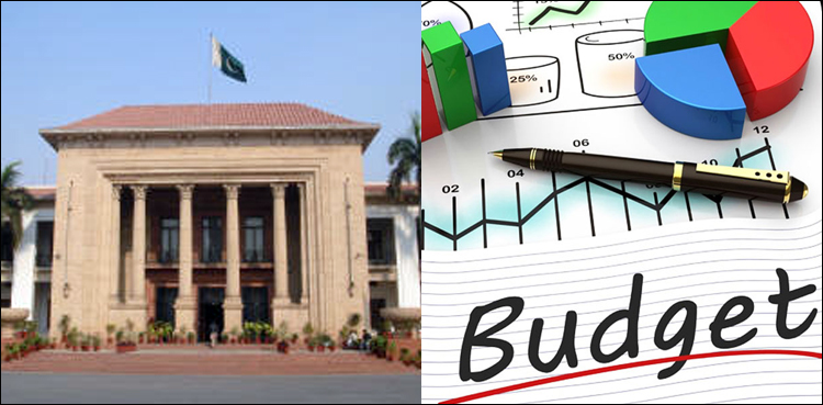پنجاب کا بجٹ 14 جون کو پیش کیا جائے گا، جنوبی پنجاب کو خصوصی اہمیت دینے کا فیصلہ