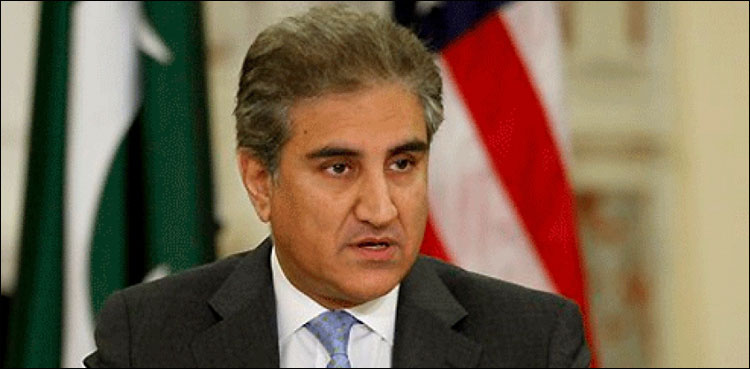 پاکستان کو سفارتی سطح پر تنہا کرنے کی کوششیں ناکام ہوئیں: وزیر خارجہ