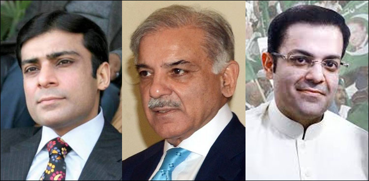 شہباز شریف کا فرنٹ مین رقوم بھیجنے والی غیر ملکیوں کمپنیوں کو پہچاننے سے انکاری