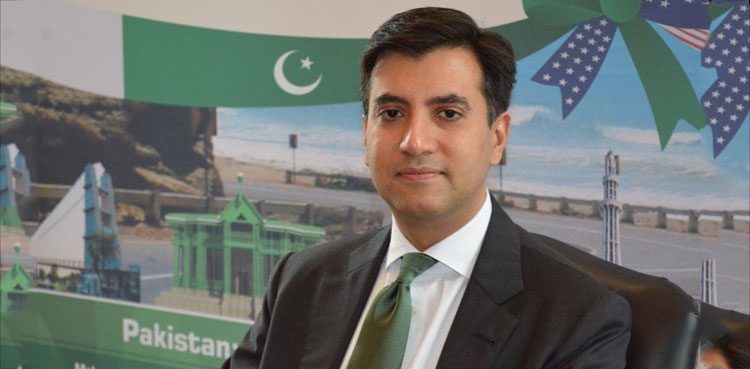 علی جہانگیر صدیقی اعزازی سفیر برائے سرمایہ کاری مقرر