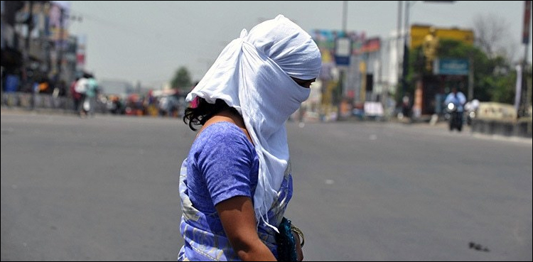 بھارت، بہار میں گرمی کی شدت سے 49 افراد ہلاک