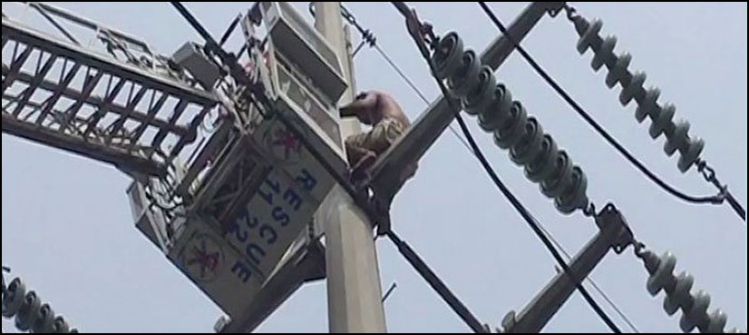 لاہورمیں نوجوان بجلی کے کھمبے پر چڑھ گیا