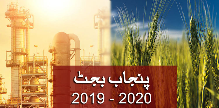 پنجاب بجٹ 2019: ترقیاتی پروگرام 350 ارب روپے پر مشتمل ہے