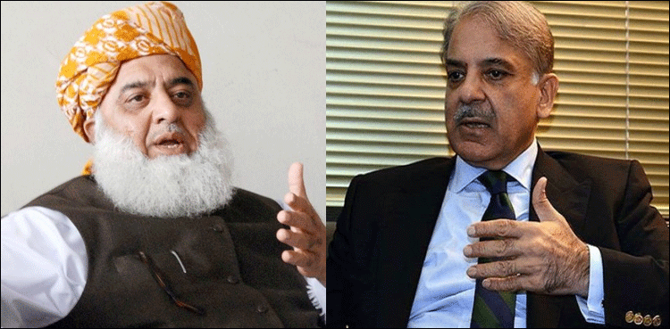 شہباز شریف کی سربراہی میں وفد کی مولانا فضل الرحمان سے ملاقات، اے پی سی پر مشاورت