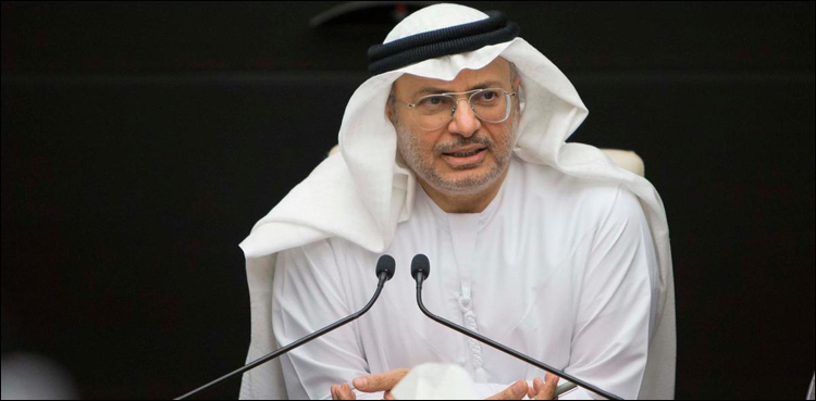 قطر کا امارات کے خلاف دہشت گردی کا سہارا لینا افسوس ناک ہے،انور قرقاش
