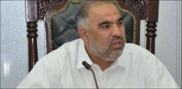 پارلیمانی سفارتکاری جمہوری ریاستوں کے درمیان پل کا کام دے سکتی ہے، اسد قیصر