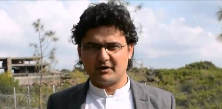 عمران خان پاک امریکا تعلقات میں نیاباب تحریر کرنے جارہے ہیں، سینیٹر فیصل جاوید