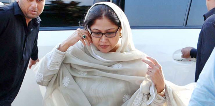 کتوں کے کاٹنے سے متعلق کیس: فریال تالپور کی معطلی کے فیصلے پر نظر ثانی کی درخواست