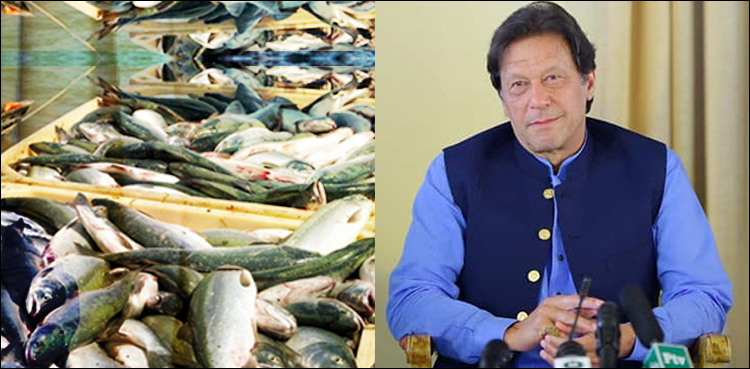 جدید طریقوں کو بروئے کار لا کر ماہی گیری کی صنعت کو فروغ دیں گے: وزیر اعظم