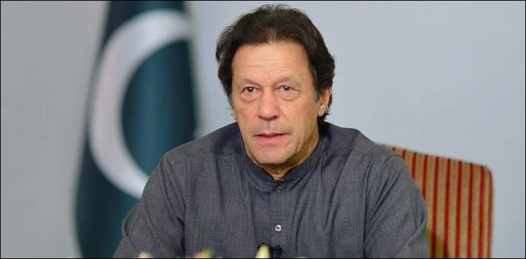 مسلم لیگ ن کی جانب سے اداروں پر حملے، وزیر اعظم کی جواب دینے کی ہدایت
