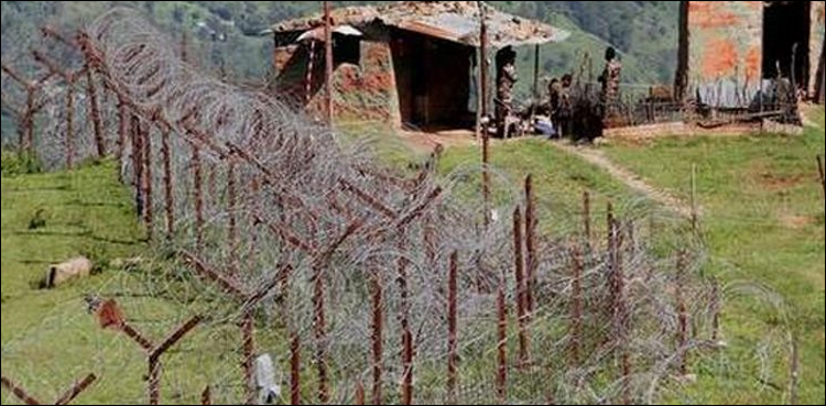 راولاکوٹ، بھارتی فوج کی گولہ باری، خاتون شہید، بزرگ شہری زخمی