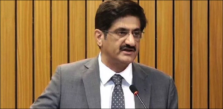 چھ ستمبرکا دن ہمیں یاد دلاتا ہے پاک فضائیہ کتنی اہم ہے، وزیراعلیٰ سندھ