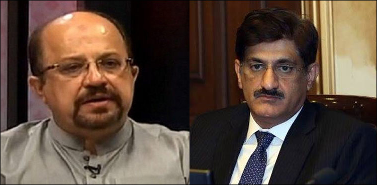 وزیراعلیٰ سندھ  جلد گرفتار ہونے والے ہیں، فردوس شمیم نقوی کا انکشاف