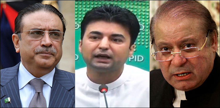 زرداری اور نواز شریف پر قومی خزانے سے کتنے پیسے خرچ ہوئے؟ مراد سعید کے اہم انکشافات