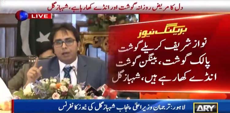 نواز شریف کو جو سہولیات مل رہی ہیں وہ وزیراعظم کو بھی حاصل نہیں، شہباز گل