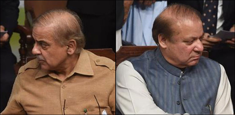 چئیرمین سینیٹ کے نام پر نوازشریف اور شہباز شریف کے درمیان اختلاف
