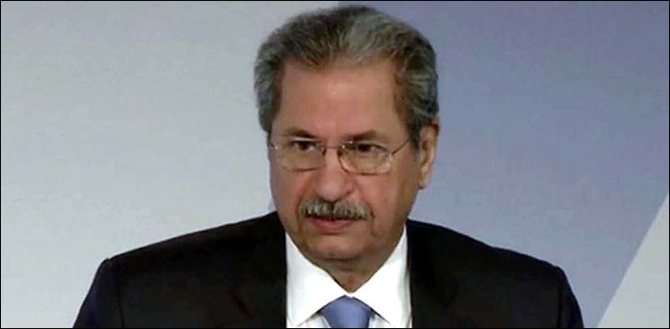 چاہتے ہیں اسکروٹنی تمام پارٹیوں کی ہو، شفقت محمود