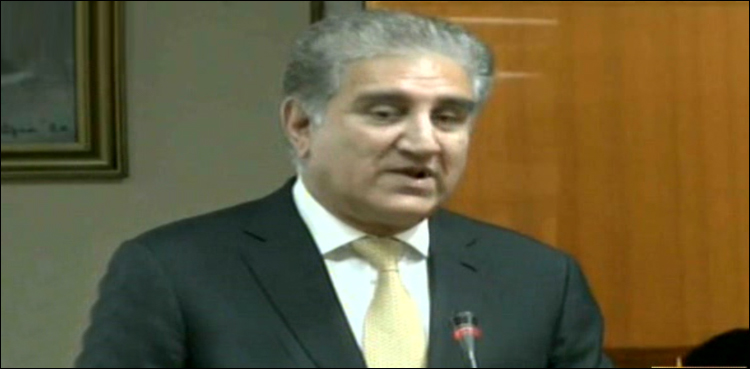 وائٹ ہاؤس میں ڈونلڈ ٹرمپ خود عمران خان کا استقبال کریں گے، شاہ محمود قریشی